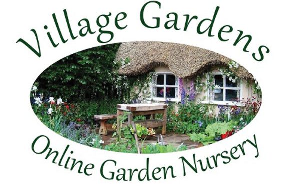 Village gardens online nursery cape town