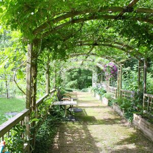 Create Pergolas & Arches