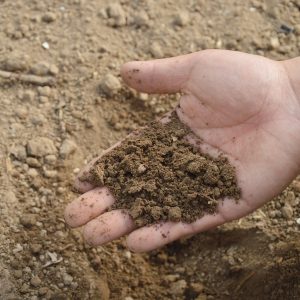 Compost, Soils & Mulches (Bulk or Bagged)