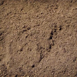 Top Soil 20dm bagged