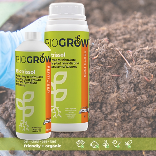 BioGrow (Biotrissol) 500mg