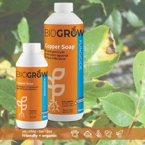 BioGrow Copper Soap (Funcicide) 500mg