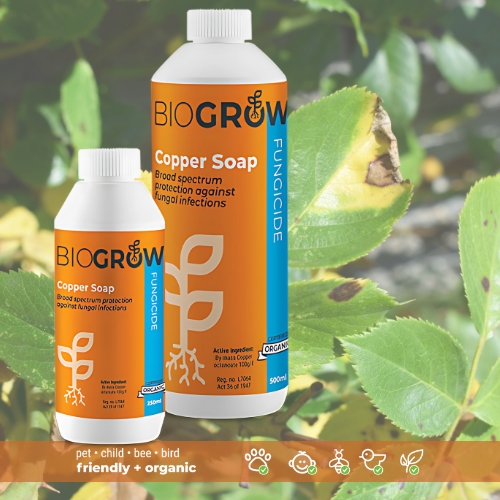 BioGrow Copper Soap (Funcicide) 500mg