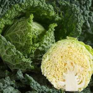 Cabbage Savoy Alcosa 6pk