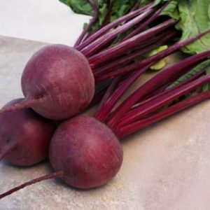 Beetroot Kestrel 6pk