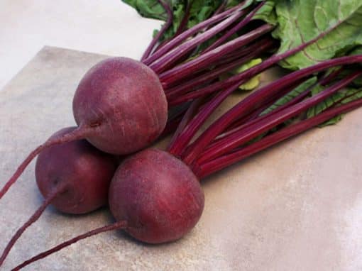 Beetroot Kestrel 6pk