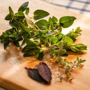 Marjoram 6pk
